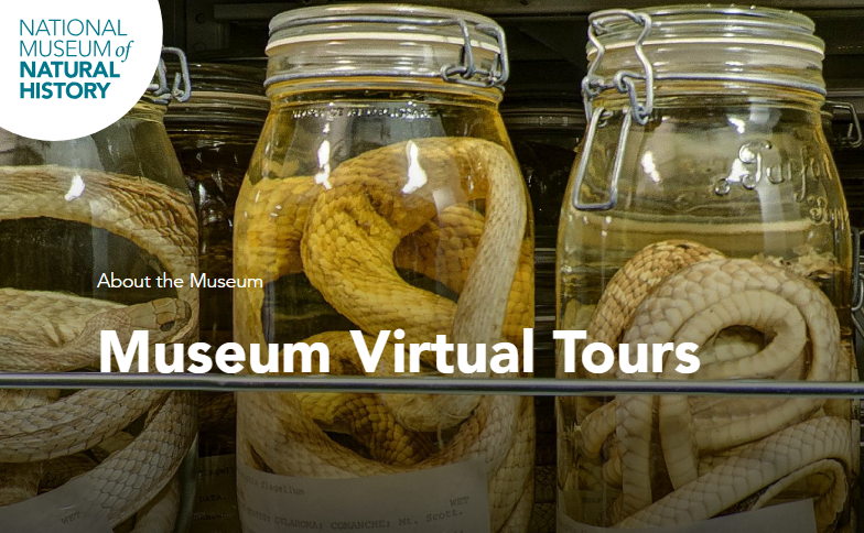 Virtual Tours
